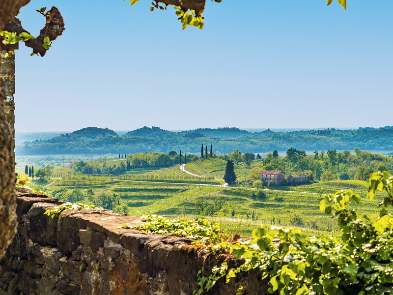 Collio Goriziano: Die Hügel dieses wohl bekanntesten Weinbaugebietes in Friaul-Julisch-Venetien setzen sich im Osten bis über die slowenische Grenze fort – dort nennt man das Gebiet Brda. 
