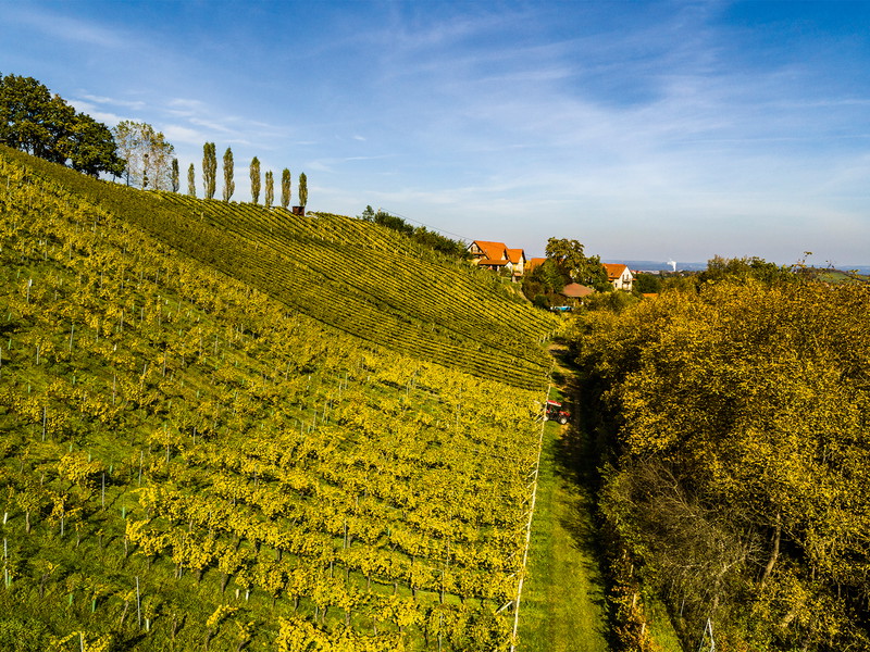 Der »Sattlerhof« bei Gamlitz ist Weingut, Spitzenrestaurant und Hotel.