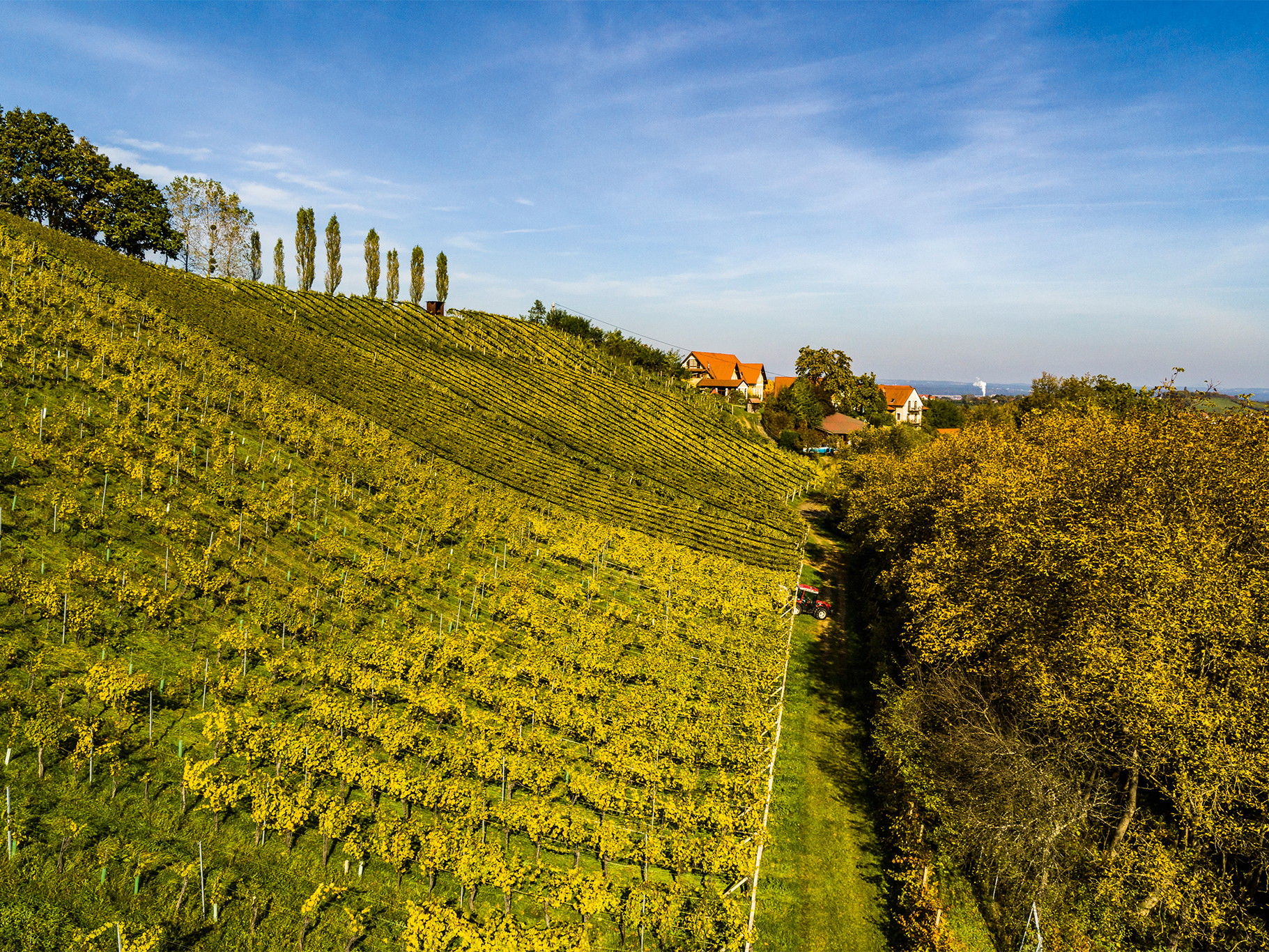 Der »Sattlerhof« bei Gamlitz ist Weingut, Spitzenrestaurant und Hotel.