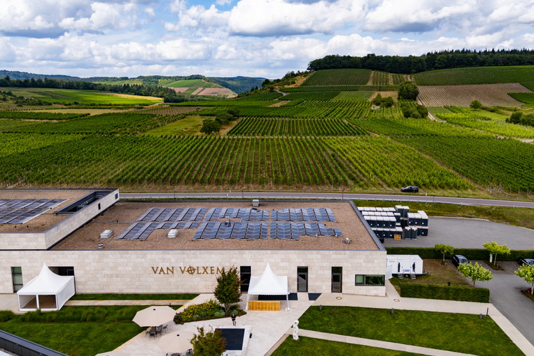 Das »Weingut Van Volxem« in Wiltingen. 