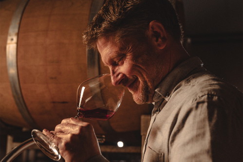 Organic vintner Stefan Sander loves historic varietals.