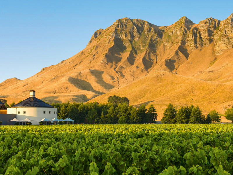 Das Weingut Craggy Range, eingerahmt von der dramatischen Kulisse des Te Mata Peak.