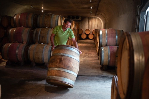 Blair Walter bei der Arbeit: Der Weinmacher von Felton Road arbeitet heute mit minimaler Intervention und maximalem Respekt vor dem Terroir.