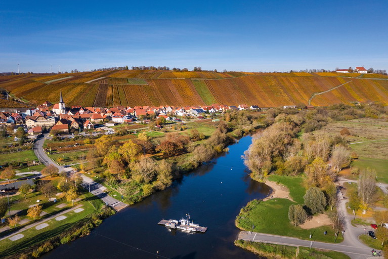 Die Mainfähre verbindet die Weinorte Escherndorf und Nordheim. 