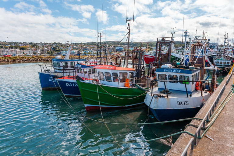 Fischerboote im Howth Harbour in der nähe der Dublin Bay