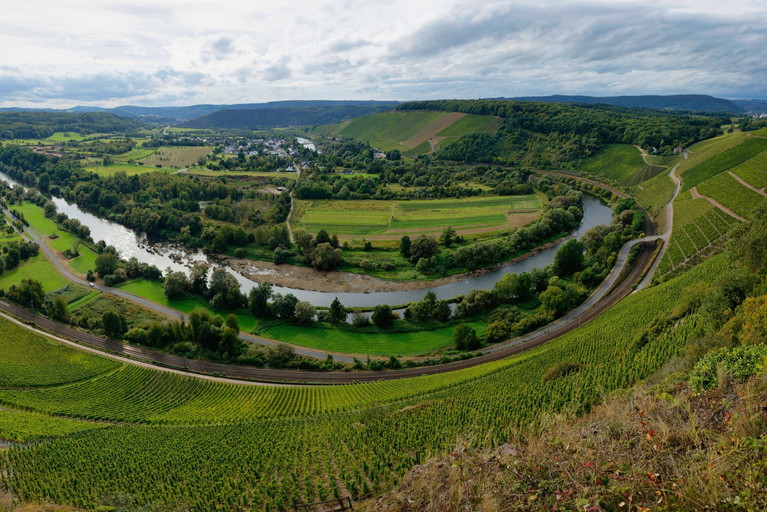 Weinberge in Wiltingen