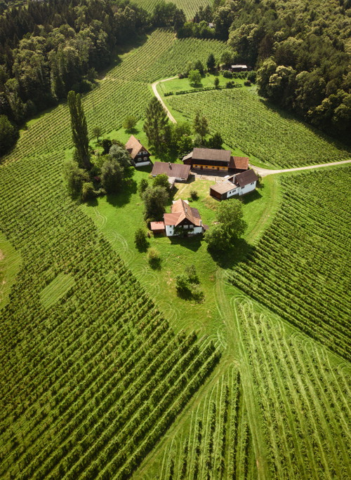Das Weingut von Stefan Langmann bietet sowohl klassische Schilcher als auch zahlreiche Schaumweine an.