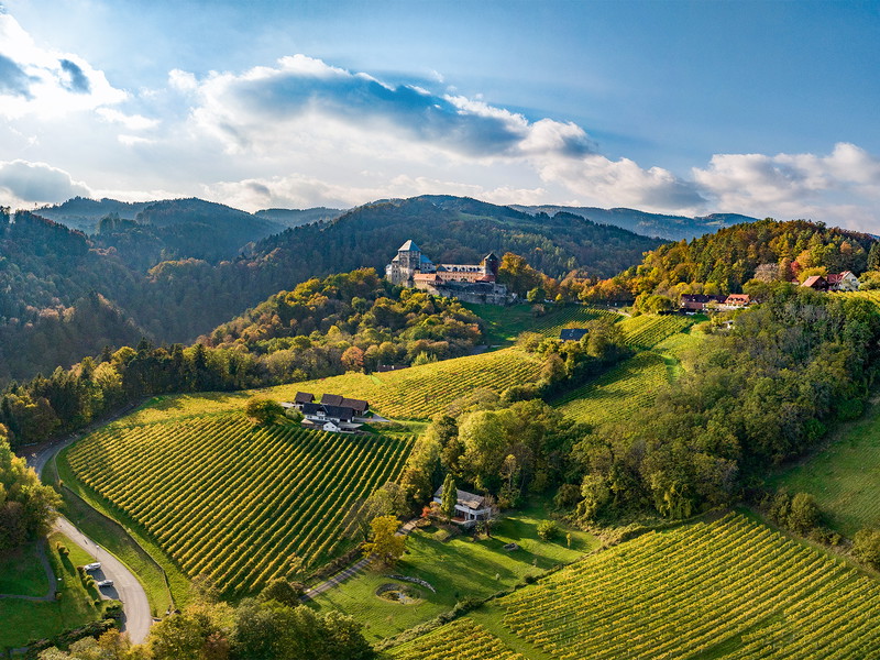 Die Ried Burgegg unter der markanten Burg Deutschlandsberg mit ihren Schieferböden bringt feinwürzige Schilcherweine hervor.