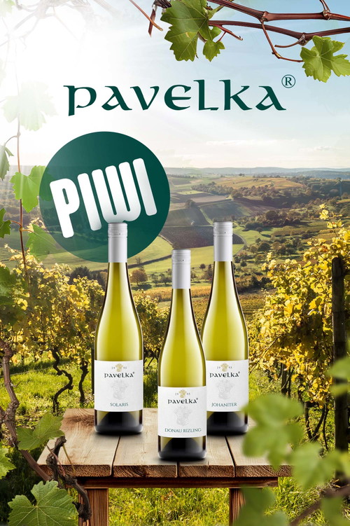 Vinárstvo Pavelka