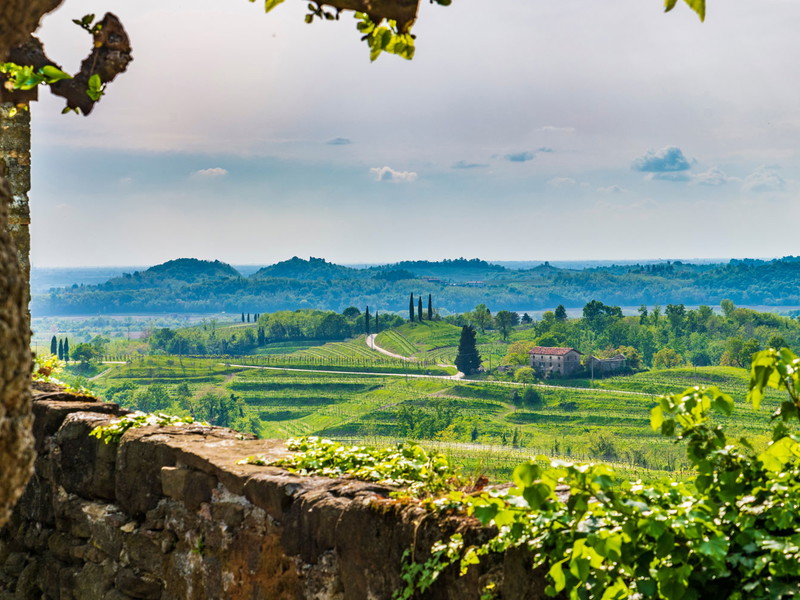 Collio