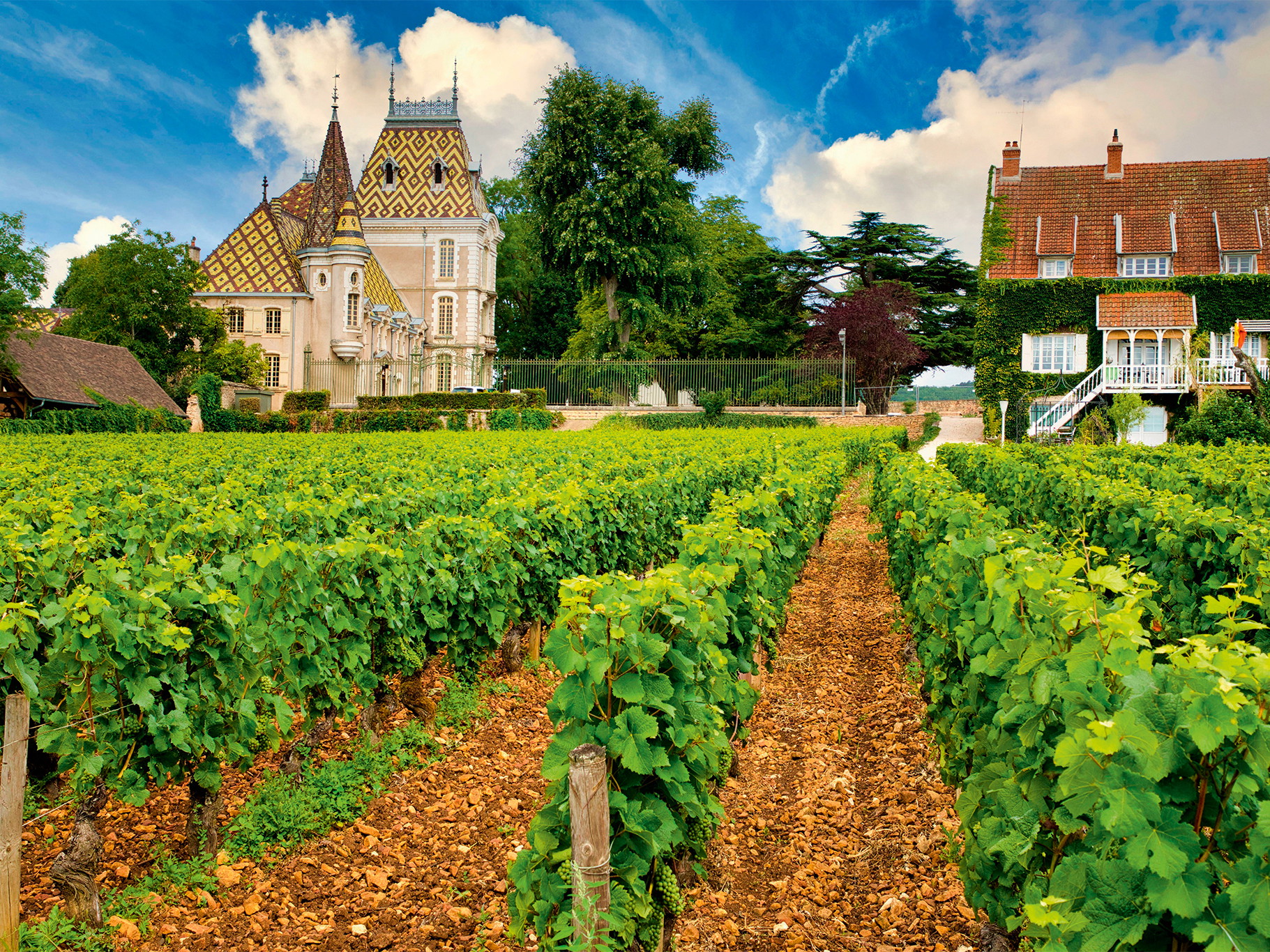 Zwischen Historie und Grandezza: Das Burgund mit seinen ikonischen Reblagen und Rebsorten ist seit Jahrhunderten Inspirationsquelle für den Schweizer Weinbau.