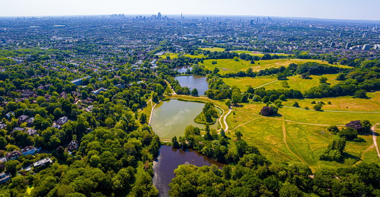 Auch in London gibt es viele Grünflächen – wie der Hampstead Heath.