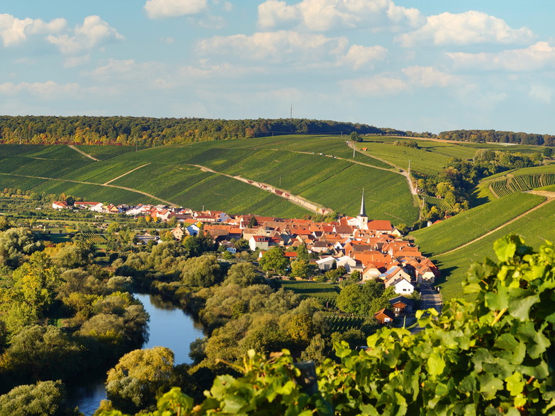Escherndorf. Malerisch an der Mainschleife gelegen, ist Escherndorf von der renommierten Lage Lump umgeben, aus der einige der besten Rieslinge und Silvaner Frankens stammen.