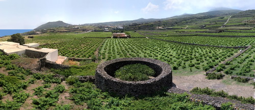 Giardino Pantesco