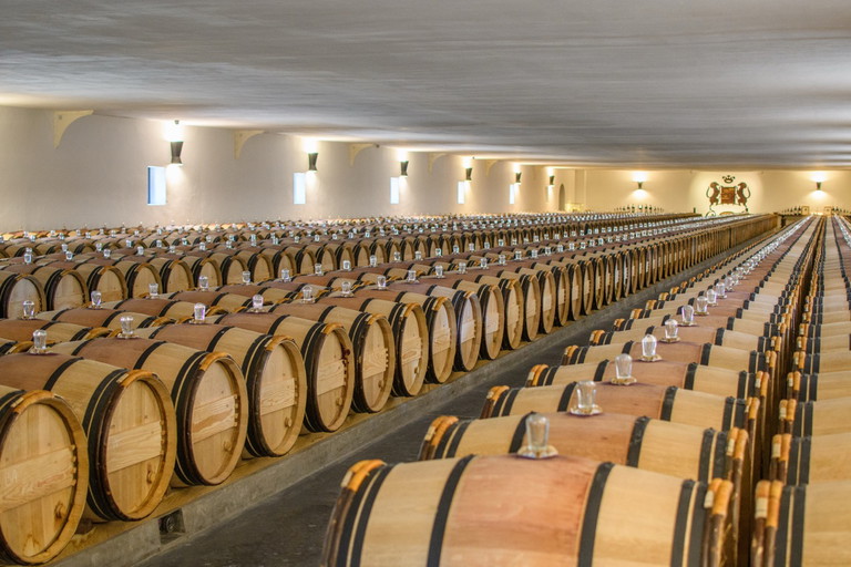 The cellar of Château Mouton-Rothschild