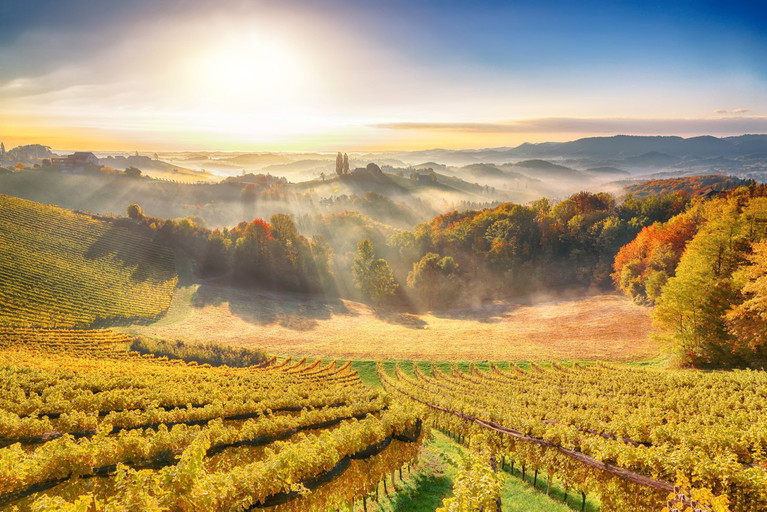 Im satten Herbstlicht entfaltet die Südsteiermark ihren besonderen Reiz. Die Weingärten wirken noch idyllischer, der Horizont noch weiter, die Entschleunigung noch greifbarer.