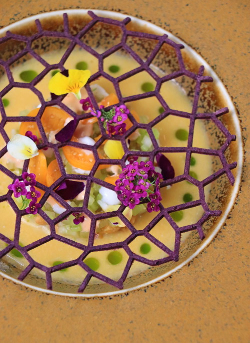 Das Saibling Ceviche