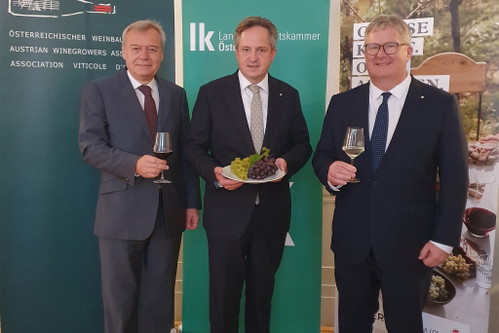 Josef Glatt, Direktor Österreichischer Weinbauverband, Johannes Schmuckenschlager Präsident des Österreichischen Weinbauverbandes, Chris Yorke, Geschäftsführung ÖWM bei der LKÖ-Pressekonferenz zur Weinernte.