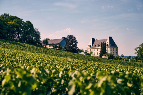 Moët &amp; Chandon wurde 1743 gegründet. 