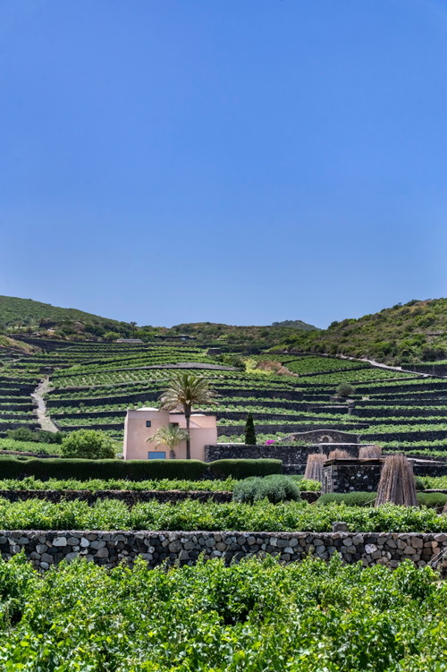 Donnafugata