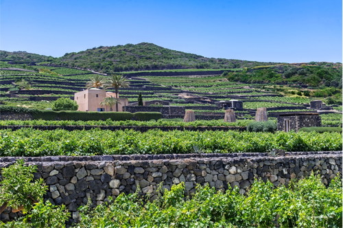 Donnafugata