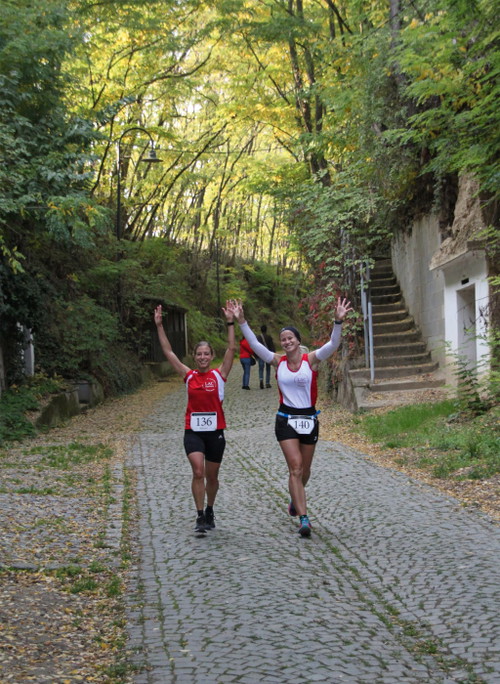 Am 11. Oktober findet der Poysdorfer Winzerlauf statt. 

