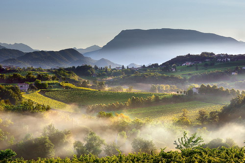 Das grüne Hinterland von Venedig ist die Heimat des Prosecco. Rechts: Weinberge bei De Stefani. Die meisten Proseccos werden mittels Tankgärung hergestellt. Im Kreis: Autoklaven bei Casa Valdo in Valdobbiadene.