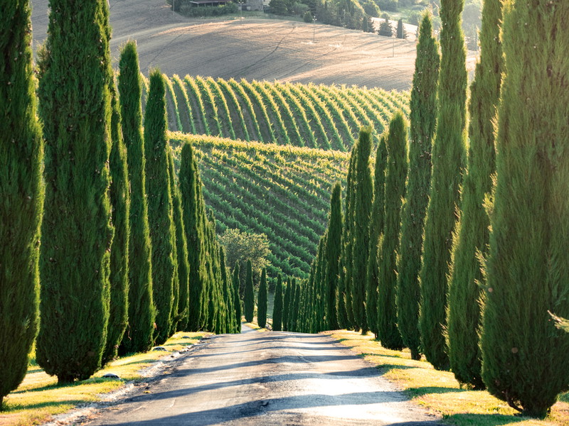 The meditative beauty of the Marche is a destination that should be discovered, especially for leisure cyclists.