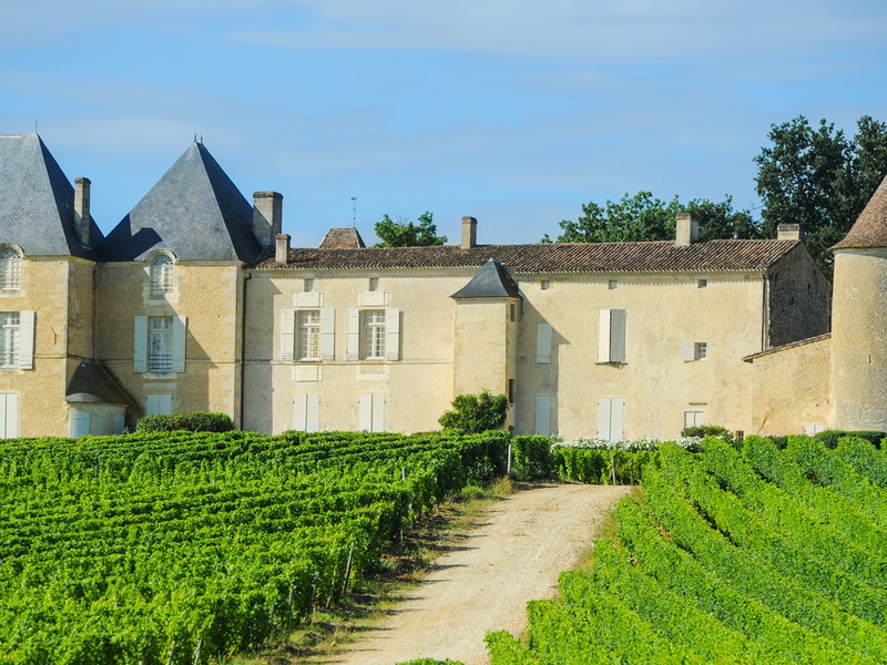 Château d’Yquem, die Ikone von Sauternes: Hier entstehen die legendären edelsüßen Weine, die das Anbaugebiet weltberühmt gemacht haben.