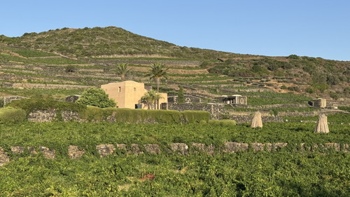 Donnafugata