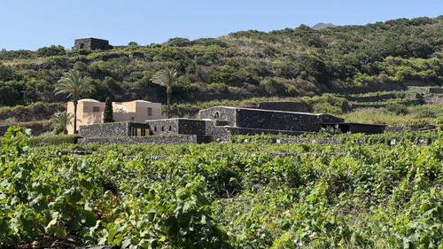 Donnafugata