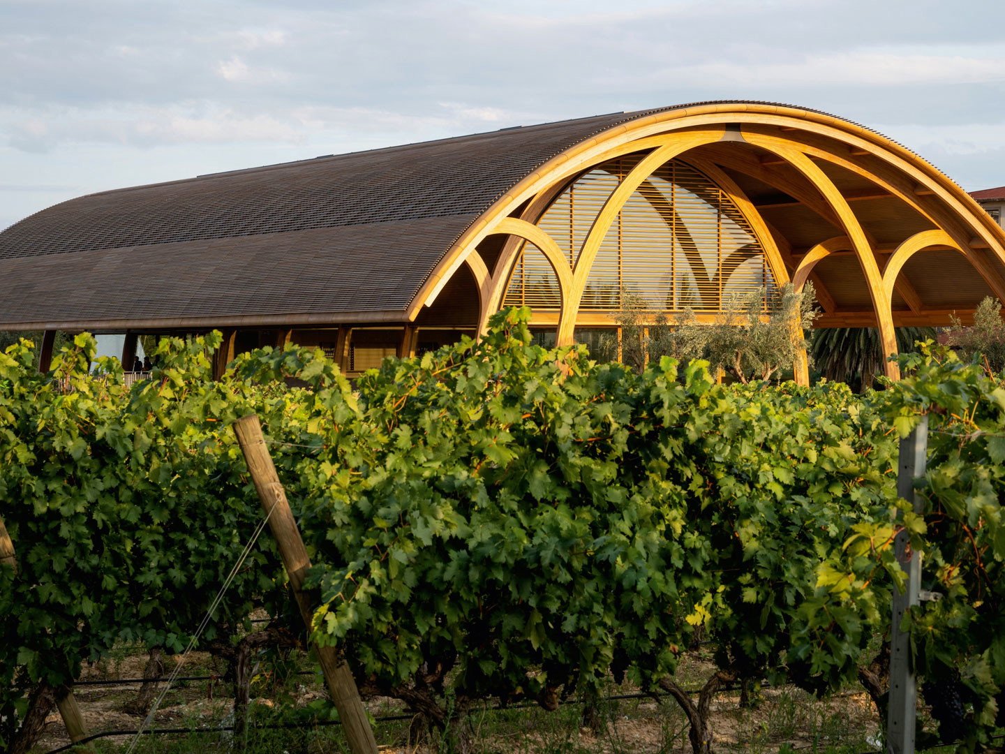 Das neue Besucherzentrum der »Bodegas Faustinos« in Rioja vereint besondere Architektur mit nachhaltiger Energie und fügt sich harmonisch in die Landschaft ein.