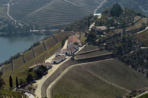Quinta do Crasto