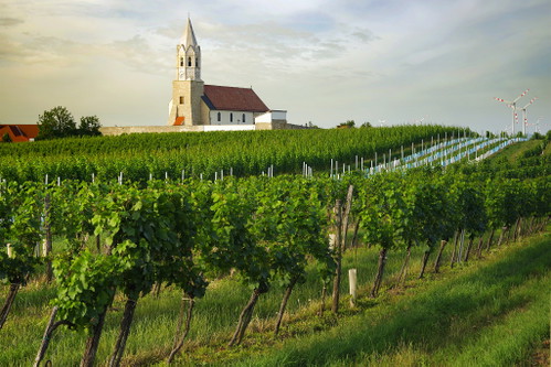 Höflein, Carnuntum