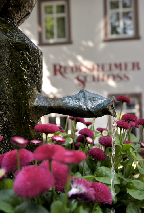 »Breuer's«, Rüdesheim