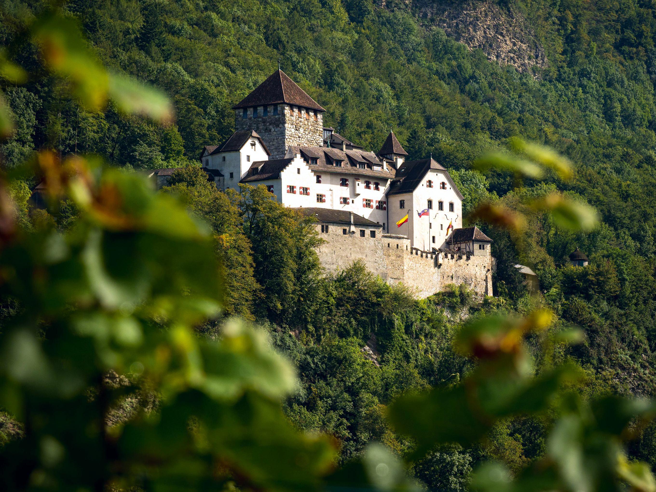 Das Schloss des Fürsten in Vaduz darf man zwar nicht besuchen, dafür aber seine fast genauso eindrückliche Weinkellerei mit Gourmetrestaurant.