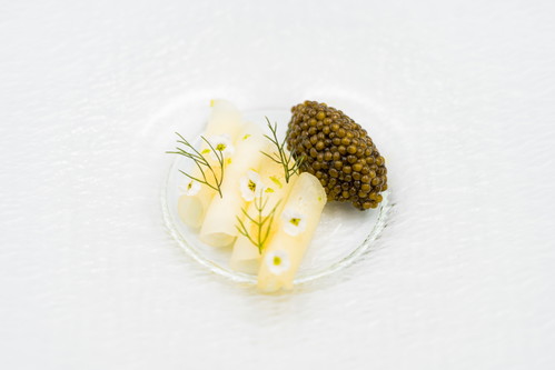 Zu Röllchen geformte weisse Bete mit Kristall-Kaviar und Burrata