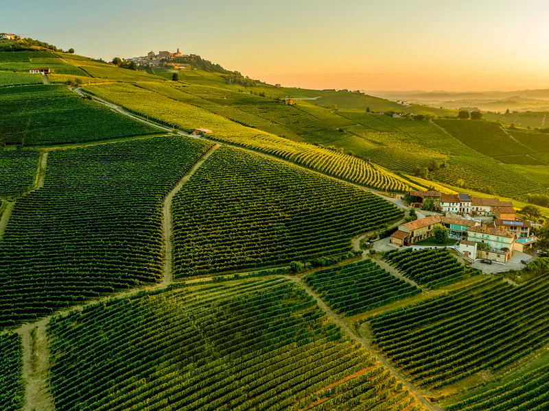 Wie ein dichter Teppich ziehen sich die Weingärten über die Hügel der Langhe. Ein Anblick, der jeden Weinliebhaber bezaubert.