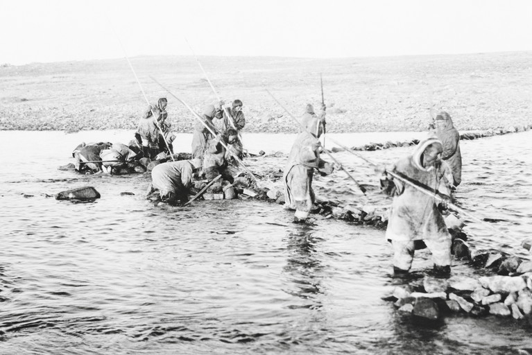 Der blutrote Sockeye Salmon wurde seit jeher von indigenen Völkern Kanadas nachhaltig gefangen.
