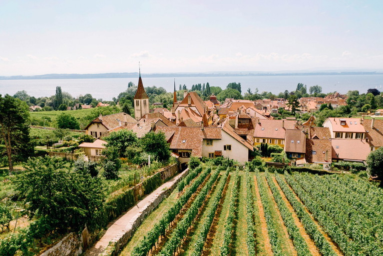Um das Auvernier wachsen Trauben für hervorragende Weine. Besonders die Pinots Noirs vom Neuenburgersee sind sehr gesucht.