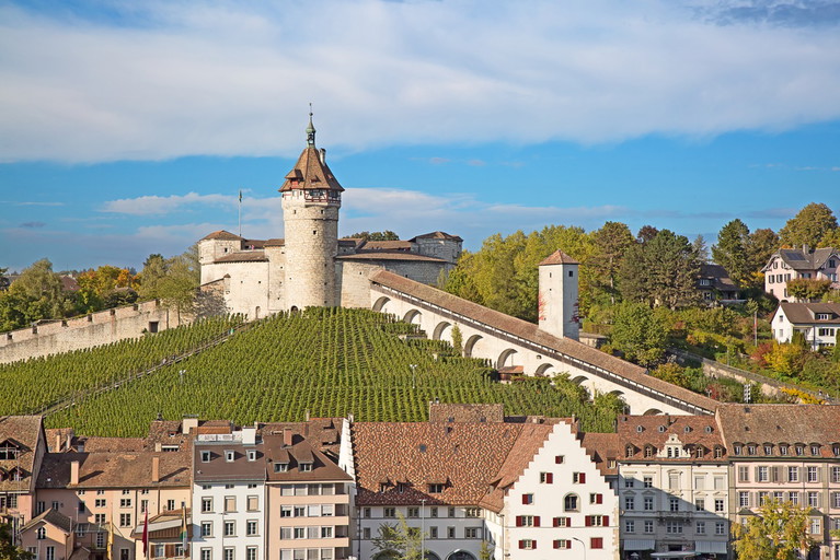 Auch an der Zirkularfestung »Munot« in Schaffhausen wird Weinbau grossgeschrieben.