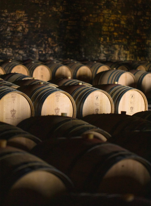 Marchesi di Grésy zählt zu Recht zu den herausragenden Produzenten in Barbaresco.