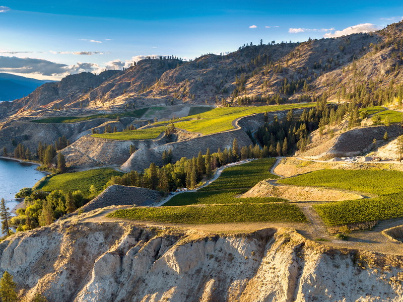 Die Weingärten rund um den Okanagan Lake bieten zu jeder Jahreszeit einen stimmungsvollen Anblick.