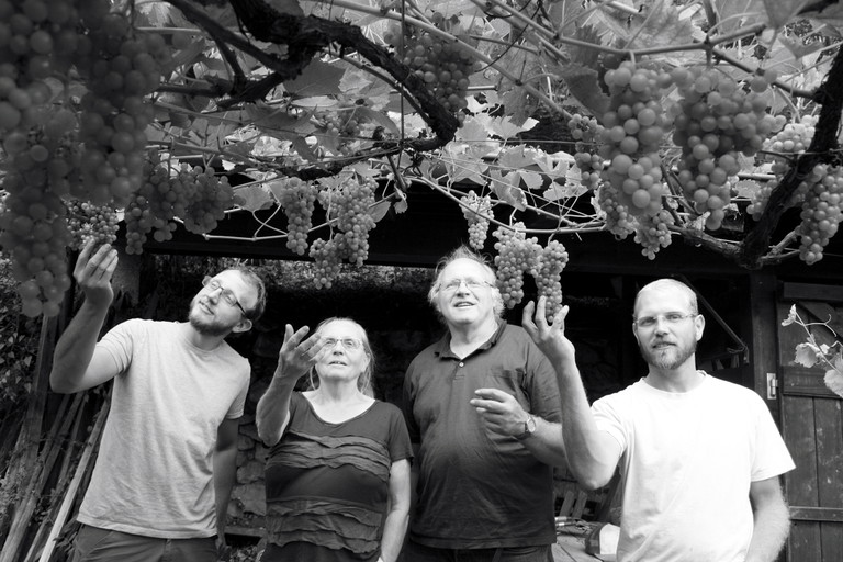 The family-run Bosshart + Grimm is a longtime grower of fugus-resistant vines.