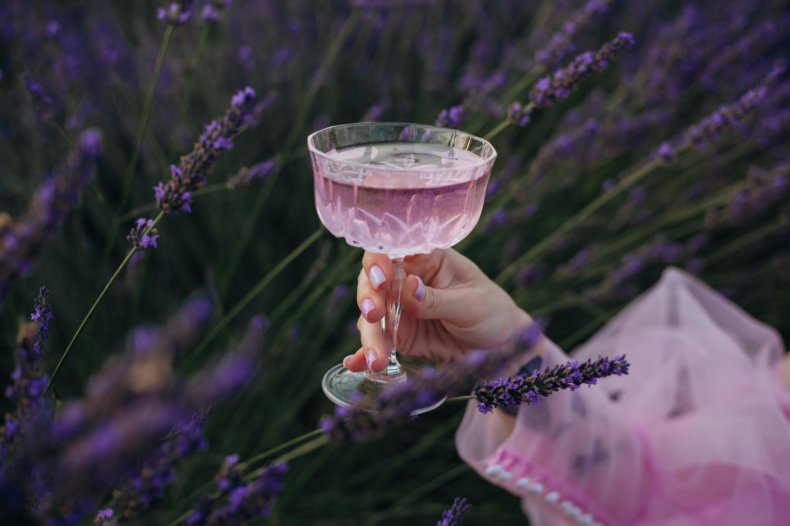 Lavender: The taste of purple - Falstaff