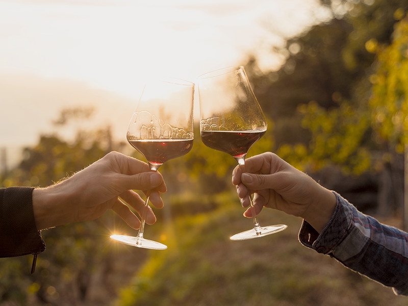 Obwohl der Merlot, der im Tessin wächst, auch zu Rosé und Weisswein verarbeitet wird, trinkt man hier vor allem Rotwein.