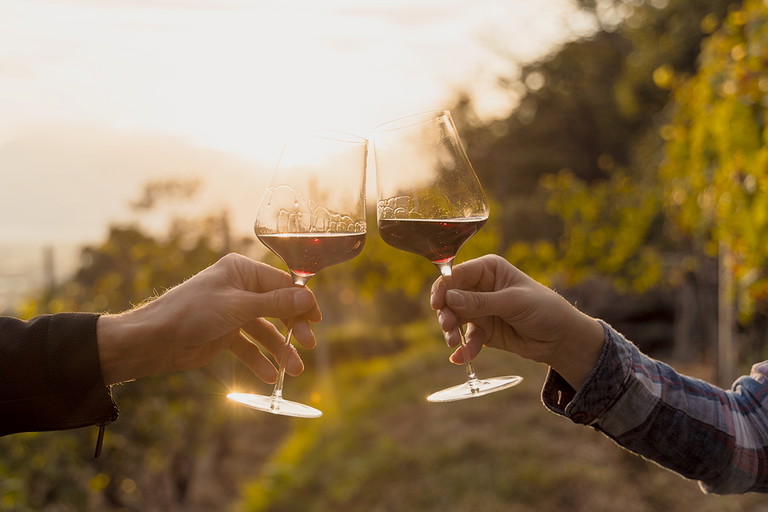 Obwohl der Merlot, der im Tessin wächst, auch zu Rosé und Weisswein verarbeitet wird, trinkt man hier vor allem Rotwein.