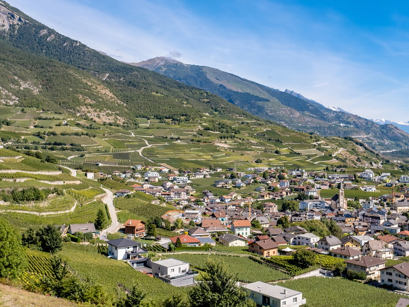 Das Winzerdorf Salgesch im Oberwallis muss jeder Liebhaber von Schweizer Weinen einmal im Leben besucht haben.