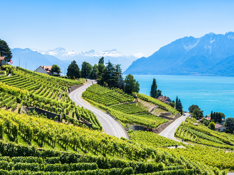 Mit seinen Terrassen, die steil zum Ufer des Genfersees abfallen, ist das Lavaux eine der landschaftlich eindrücklichsten Weinregionen des Landes.