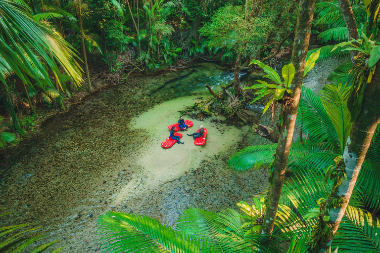 Exploring the Daintree Rainforest with Back Country Bliss Adventures